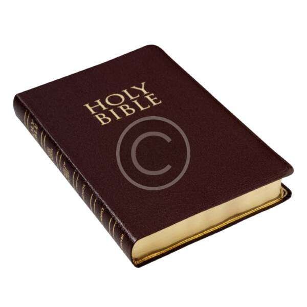 Holy Bible