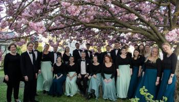 HKK japansk kirsebær